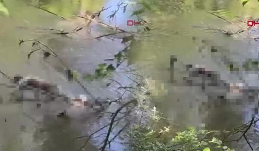 Edirne'de Tunca Nehri'nde 9 Saat Arayla İki Arkadaşın Cansız Bedenleri Bulundu