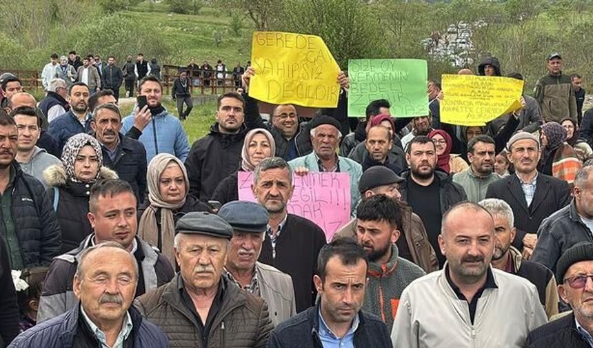 Gerede'de Çay Kirliliği Köylüleri Ayağa Kaldırdı: Ankara'ya Yürüyüş Uyarısı