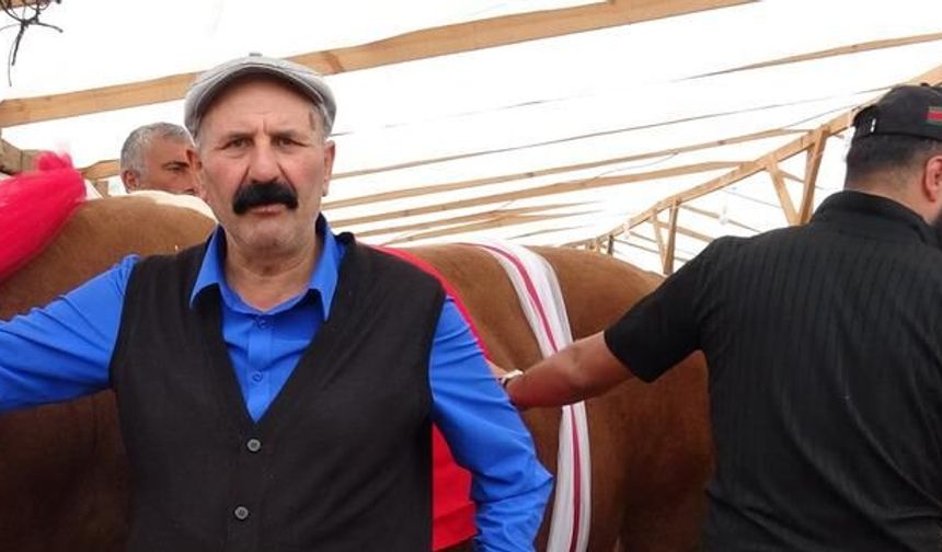 İstanbul Kurban Pazarında 'Kral' ve 'Baron' İsimli Dev Tosunlar İlgi Odağı Oldu
