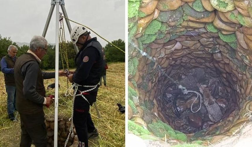 İtfaiye Ekipleri Su Kuyusuna Düşen Tilkiyi Kurtardı