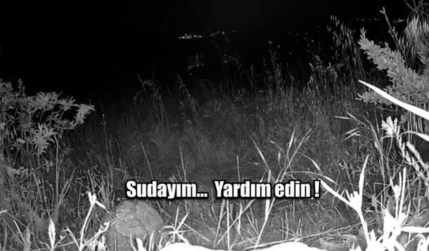 Manisa'da Kaybolan Kişi Güvenlik Kamerası Sayesinde Bulundu