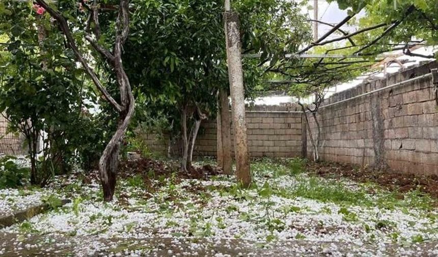 Mardin Nusaybin'de Kısa Süreli Dolu Yağışı Etkili Oldu