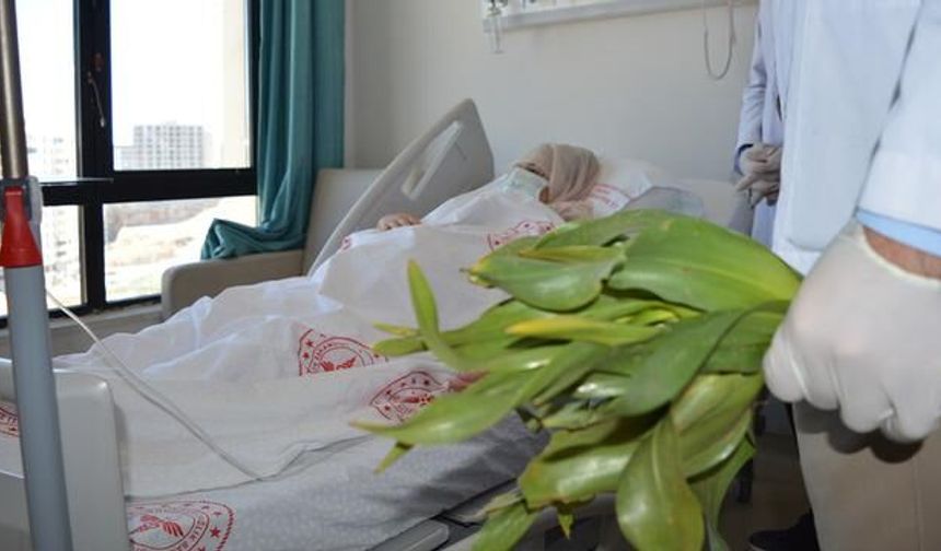 Mardin'de Yanlış Ot Tüketimi İç Organlara Zarar Verdi