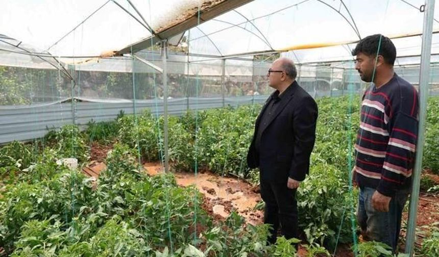 Mersin Erdemli'de Dolu Tarım Alanlarına Zarar Verdi