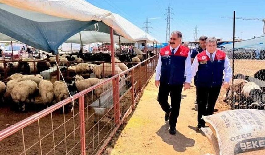 Mersin'de Kurban Bayramı Öncesi Kurbanlık Satış Noktalarında Yoğun Denetim