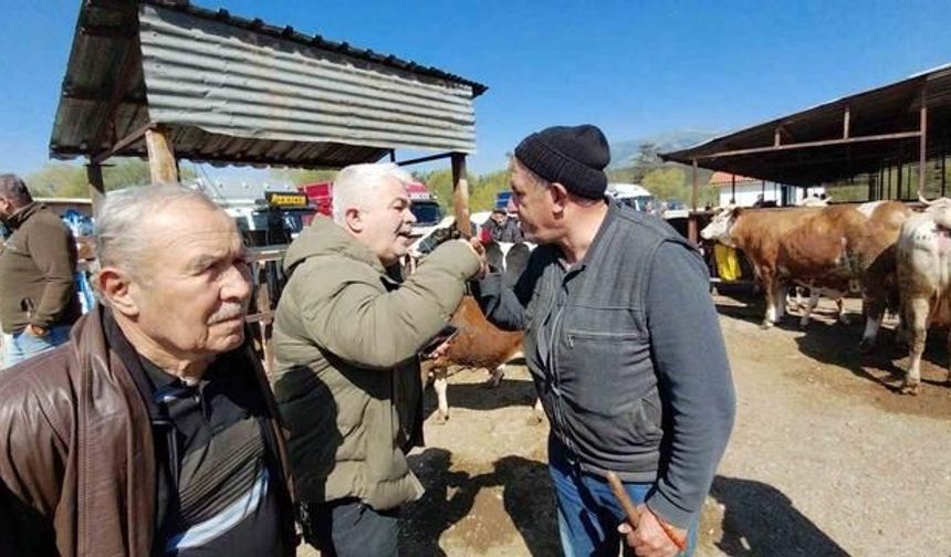 Mudurnu'da 704 Kiloluk Dana İçin Uzun Pazarlık Sonuçlandı