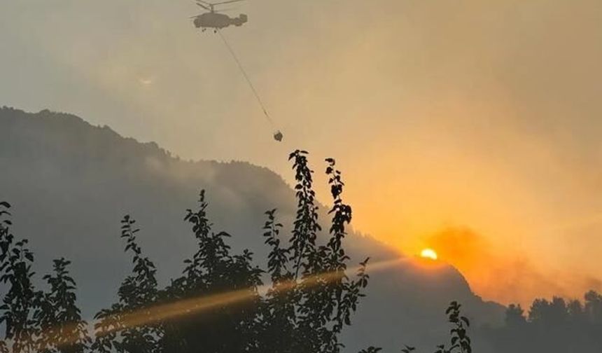 Orman Yangınına Neden Olan Genç, 43 Milyon Lira Ceza Aldı