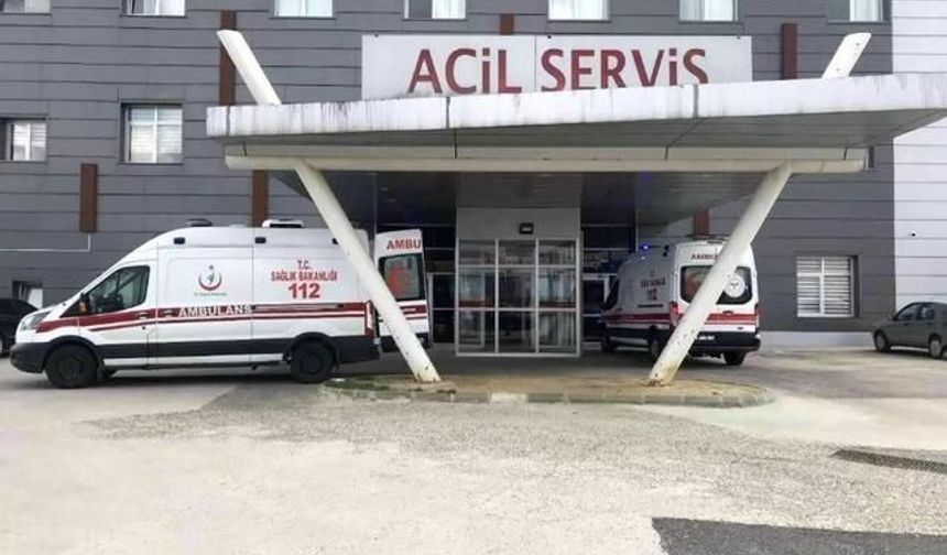 Tekirdağ'da Arı Saldırısına Uğrayan Yaşlı Çift Hastaneye Kaldırıldı