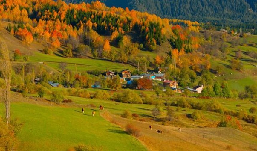 Türkiye'nin Sakin Şehirleri 2026 Listesi Açıklandı