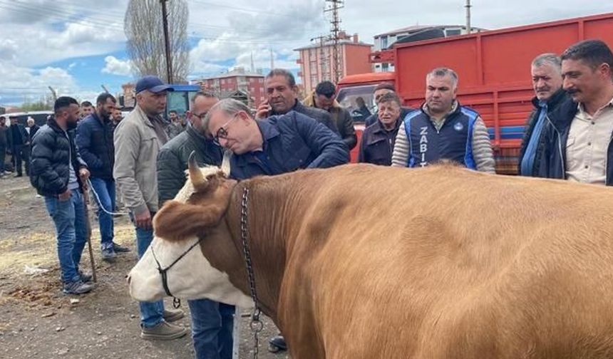 Vali Polat, Kars'ta Kurban Pazarında Alıcı ve Satıcıları Buluşturdu