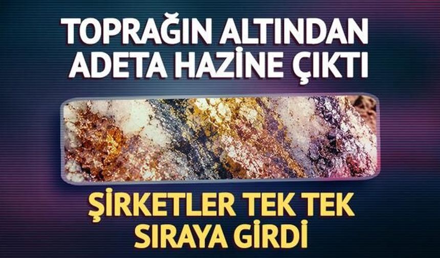 Yer Altında Altın, Bakır ve Gümüşten Oluşan Büyük Maden Keşfi