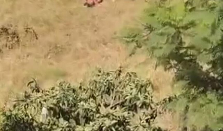 Adana'da Sulama Kanalında Yaşanan Şiddet Anları Kamerada