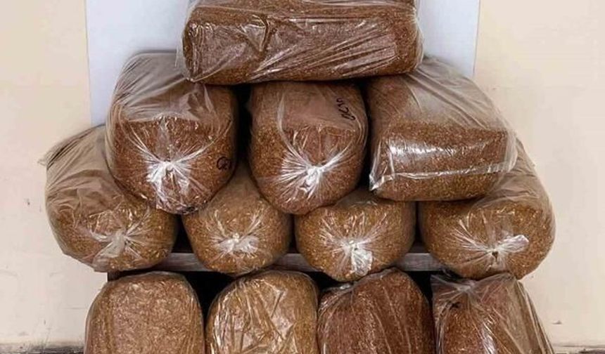Bafra'da Kaçak Tütün Operasyonu: 60 Kilo Ele Geçirildi