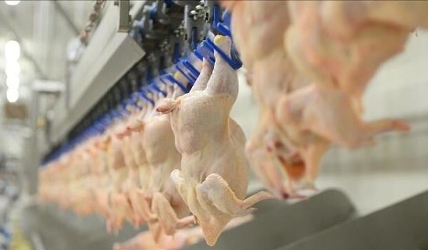 Barış Terkoğlu'ndan Yeni Operasyon İddiası: Kırmızı Et ve Market Zincirleri Soruşturmada