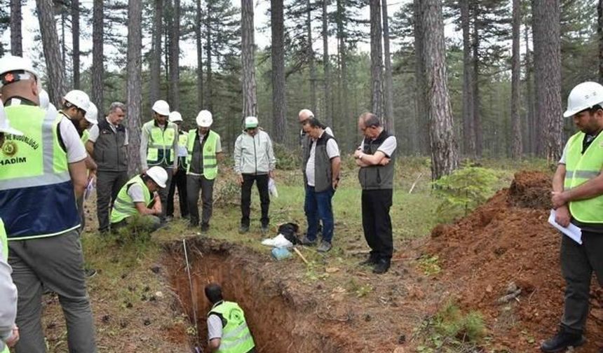 Beyşehir Ormanlarında Ağaçlandırma ve Silvikültür Eğitimi Düzenlendi