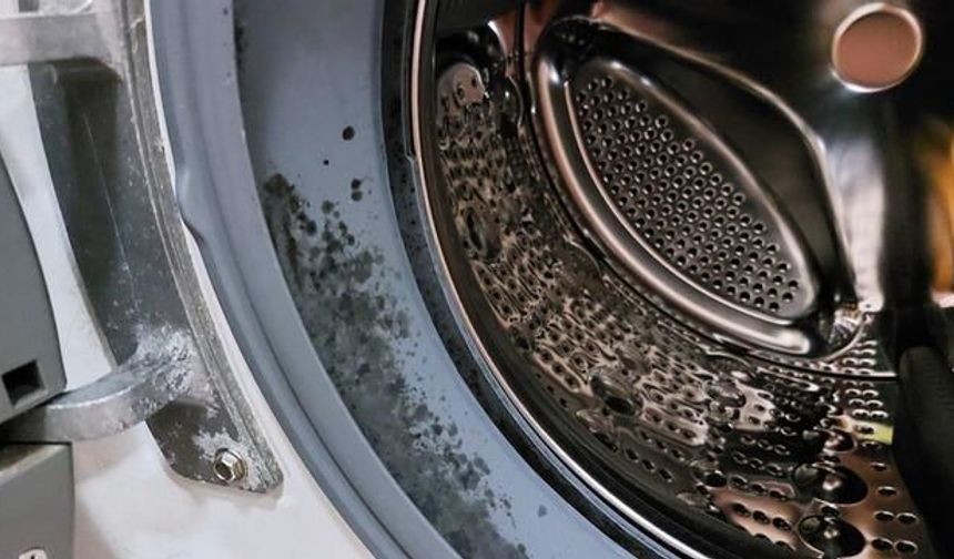 Çamaşır Makinesindeki Küfü Doğal Yöntemlerle Temizleyin