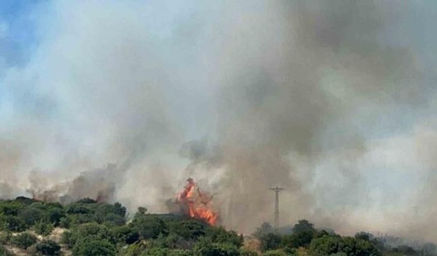 Çanakkale Ezine'de Bozuk Orman Sahasında Yangın