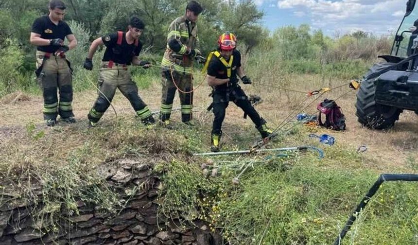 Diyarbakır'da Su Kuyusuna Düşen Yaban Domuzu Kurtarıldı