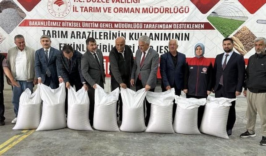 Düzce'de Konuralp Pirinci Üretimi Sertifikalı Tohum Desteğiyle Artıyor