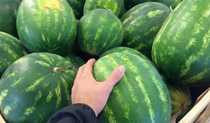 En Lezzetli Karpuzu Seçmenin 5 Pratik Yolu