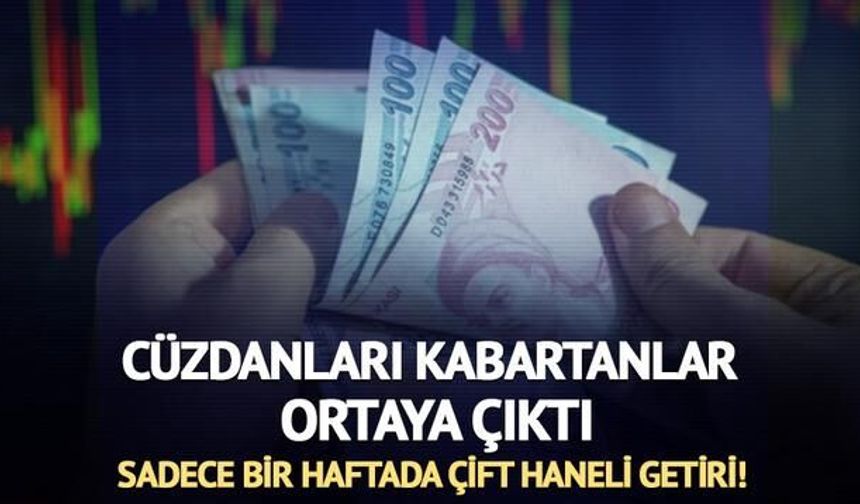 Haftanın Fon Performansları: En Çok Kazandıran ve Kaybettiren Fonlar Açıklandı