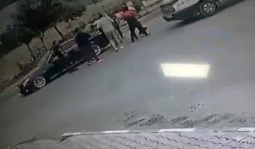 Iğdır'da Polis ve Sürücü Arasında Yaşanan Olayda İdari Soruşturma Başlatıldı