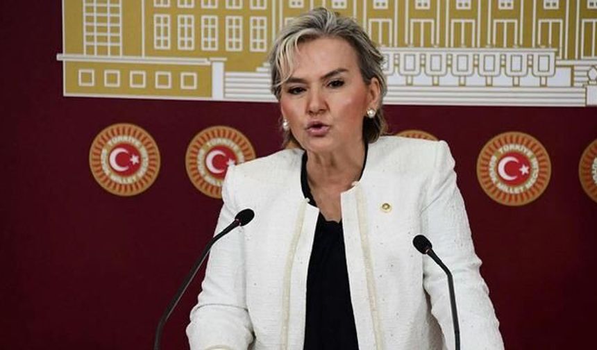 İstanbul Milletvekili Nimet Özdemir CHP'den Ayrıldı