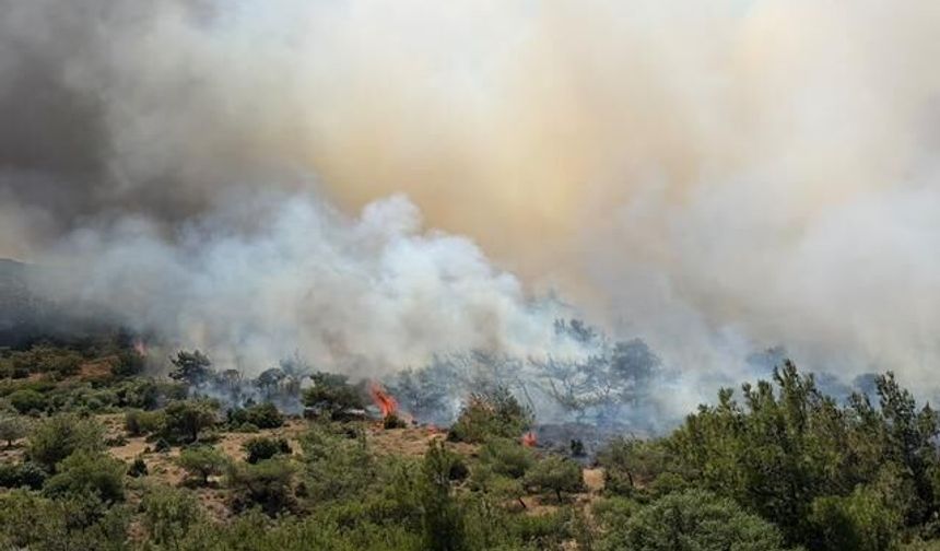 İzmir ve Bursa'da Orman Yangınlarına Çok Yönlü Müdahale