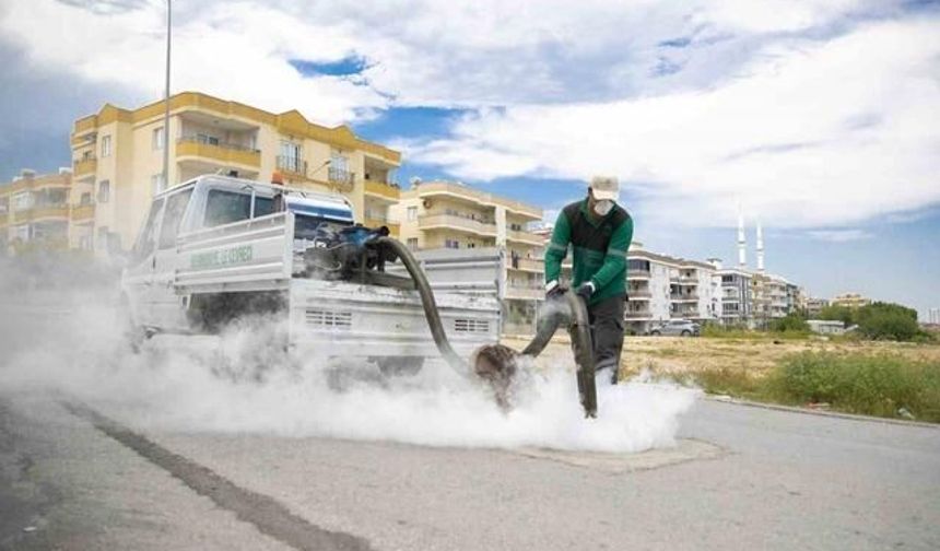 Mersin'de Haşereyle Mücadele Çalışmaları Hız Kazandı