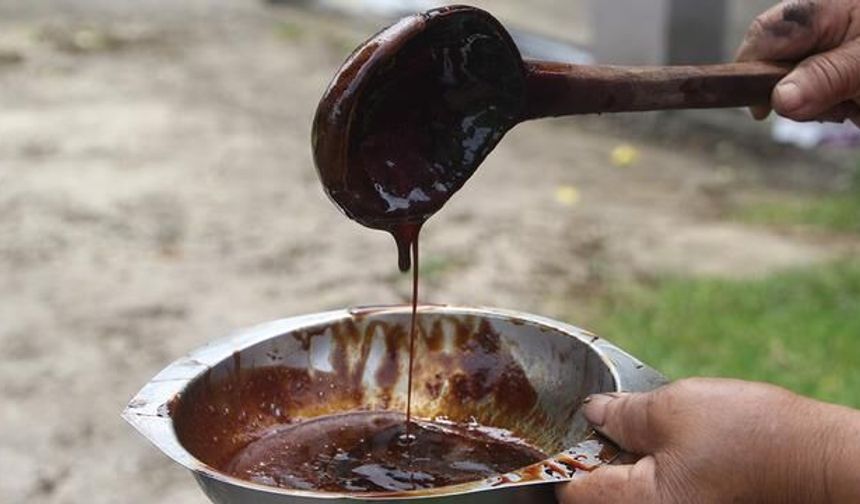 Ordu'da Geleneksel Dut Pekmezi Hazırlığı Başladı
