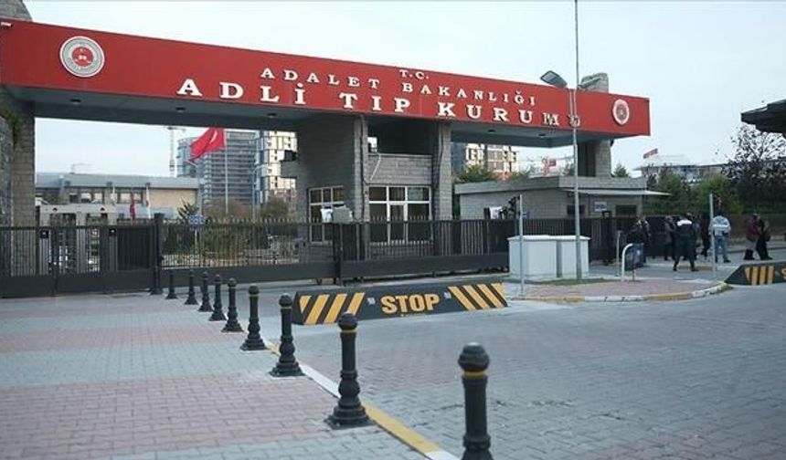 Ordu'da İneğin Tepmesi Sonrası Yaralanan Kadın Hayatını Kaybetti