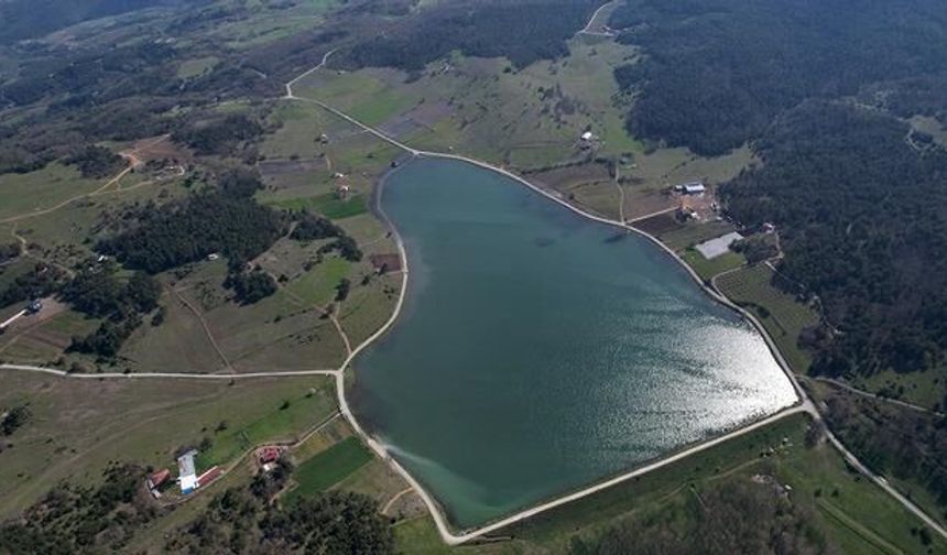 Sakarya'nın Pamukova Yaylasında Doğayla İç İçe Huzur Dolu Gölet