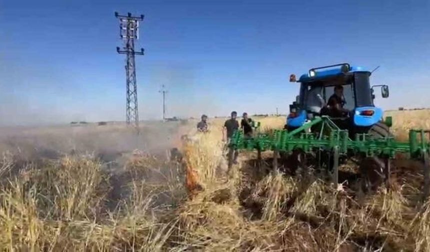 Şanlıurfa Viranşehir'de Elektrik Tellerinden Kıvılcımlar Arpa Tarlasını Kül Etti
