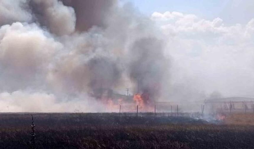 Tekirdağ Marmaraereğlisi'nde İki Ayrı Tarım Arazisinde Yangın Çıktı