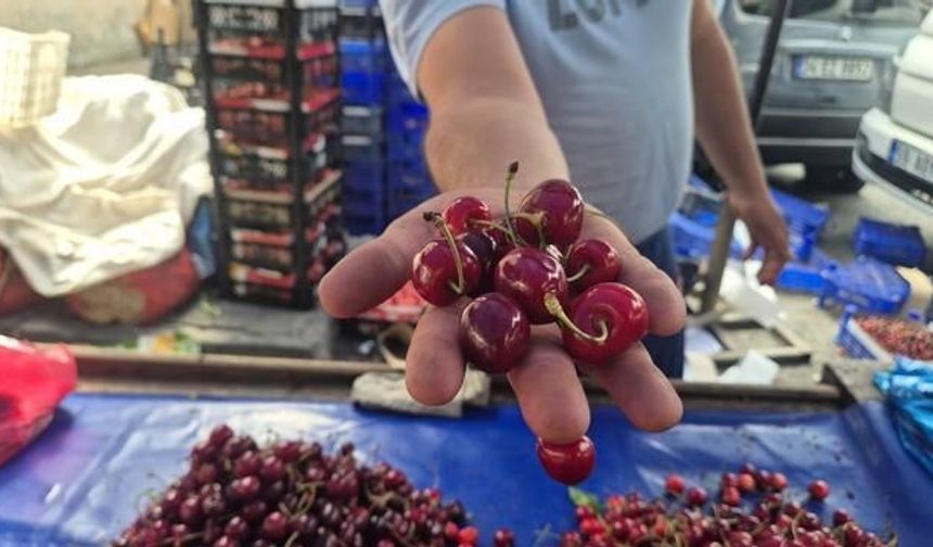 Tekirdağ'da Kiraz Fiyatları Festivalden Pazara Düştü