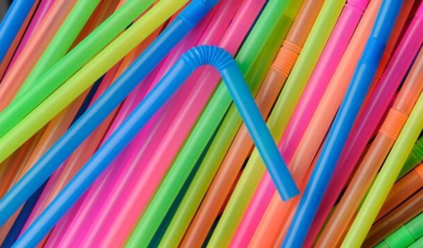Uzmanlardan Plastik Kirliliği Uyarısı: Sorun Pipetlerde Değil