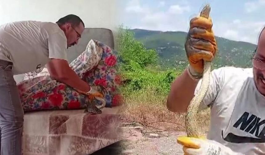 Amasya'da Evde Görülen Uzun Yılan Boynuna Sarıldı