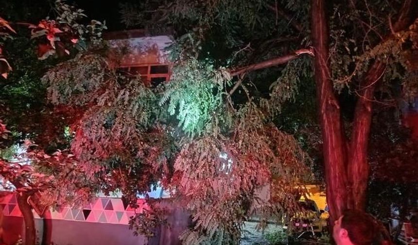 Balıkesir'de Fırtına ve Dolu Hayatı Olumsuz Etkiledi