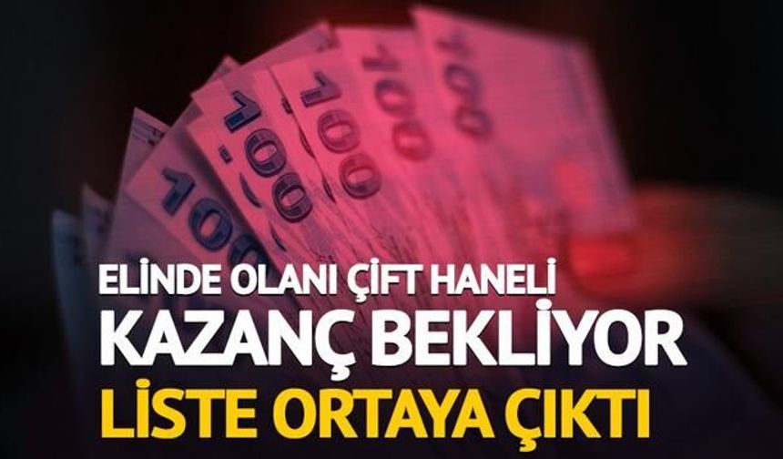 Borsa İstanbul'da Temettü Verimi Yüksek 10 Hisse ile Çift Haneli Getiri Fırsatı