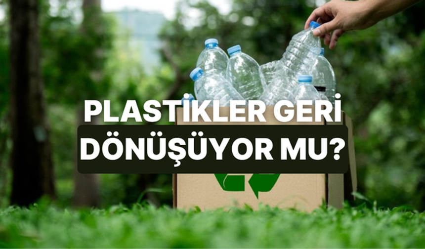 Geri Dönüşüm Kutusuna Atılan Plastik Atıklar Gerçekten Dönüşüyor Mu?