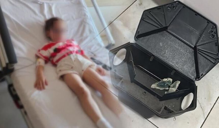 Gölcük'te Kreşte Fare Zehiri Teması: 5 Yaşındaki Çocuk Hastaneye Kaldırıldı