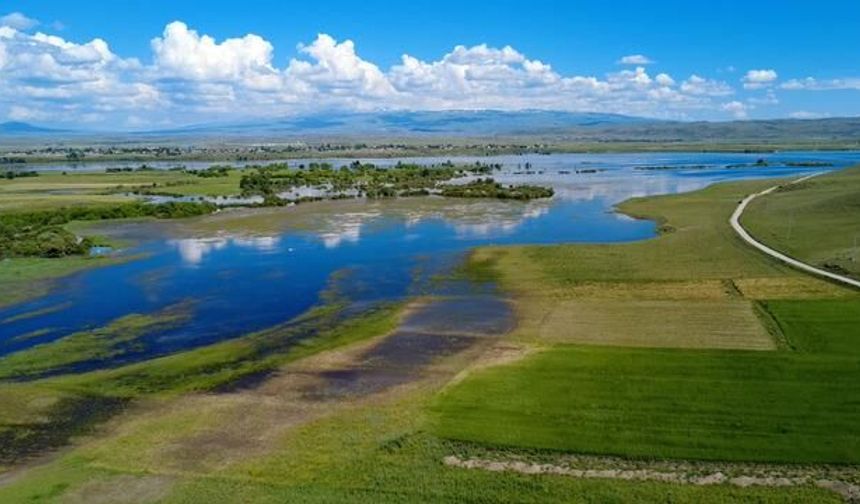 Kars'ta Arpaçay Barajı'nın Su Seviyesi Yükseldi, Tarım Arazileri Sular Altında Kaldı