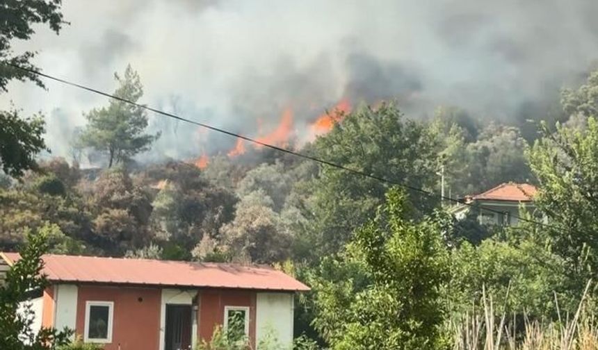 Muğla Fethiye'de Orman Yangını Yerleşim Yerlerine Sıçradı