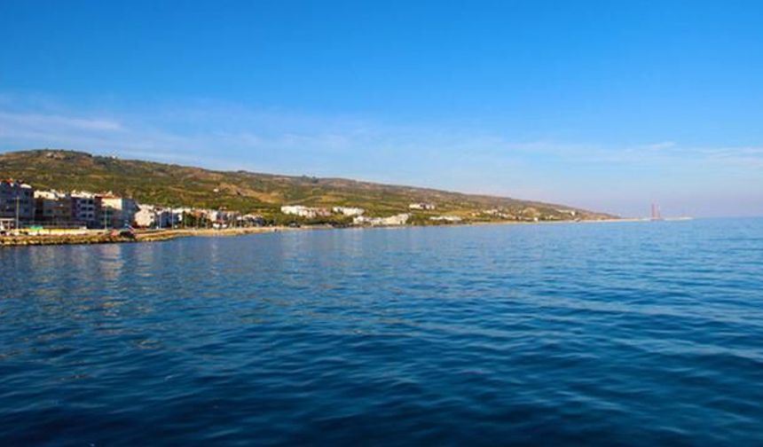 Şarköy Halk Plajlarında Deniz Suyu Temizliği Yüzde 99,52