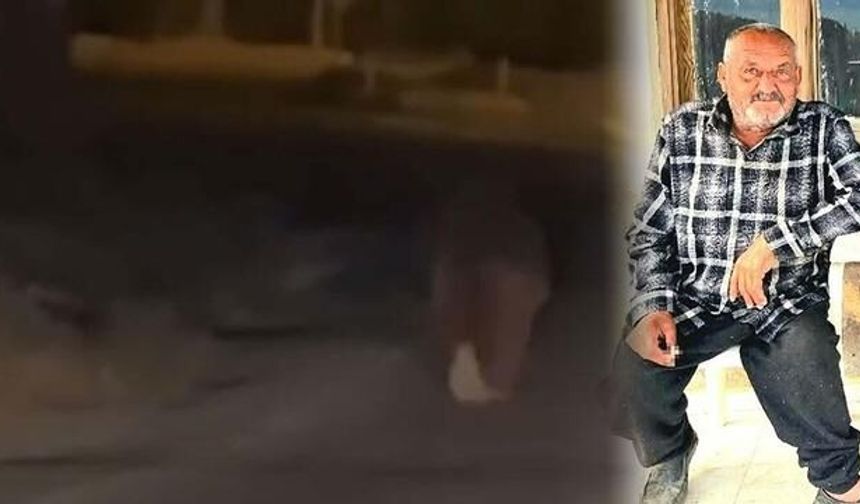 Seferihisar'da Ayı Saldırısı: Osman Gültaş Hayatını Kaybetti