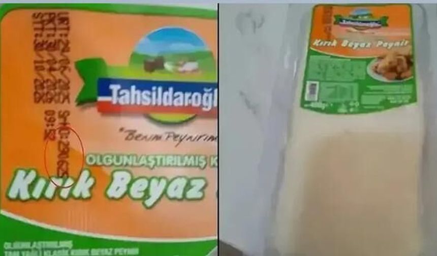 Tahsildaroğlu Beyaz Peynirinde Listeria Bakterisi Tespiti ve Resmi Müdahale