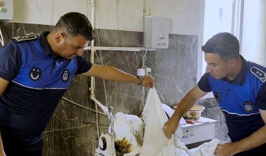 Tarsus'ta fırın denetimlerinde haşereli hamur tespit edildi ve imha edildi