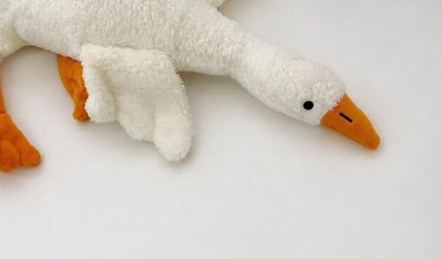 Ticaret Bakanlığı'ndan Peluş Kaz Oyuncağı İçin Toplatma Kararı