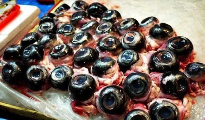 Ton Balığının Gözleri Sağlık ve Güzellik İçin Yeni Trend