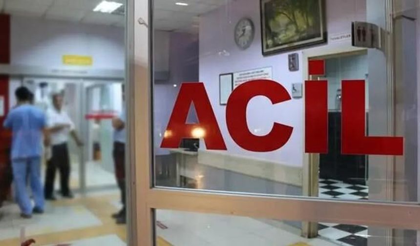 Tosya'da Kiraz Yedikten Sonra Rahatsızlanan Çift Hayatını Kaybetti